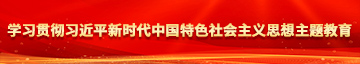 肏B喷水视频合集学习贯彻习近平新时代中国特色社会主义思想主题教育